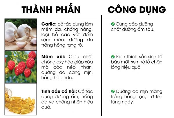 Ứng dụng xem kết quả đua chó nhanh nhất