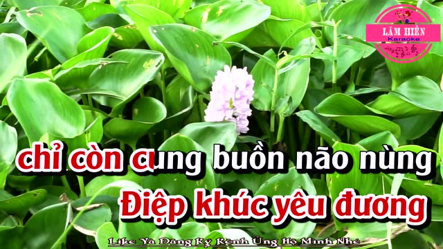 Dự đoán kết quả xổ số hôm nay