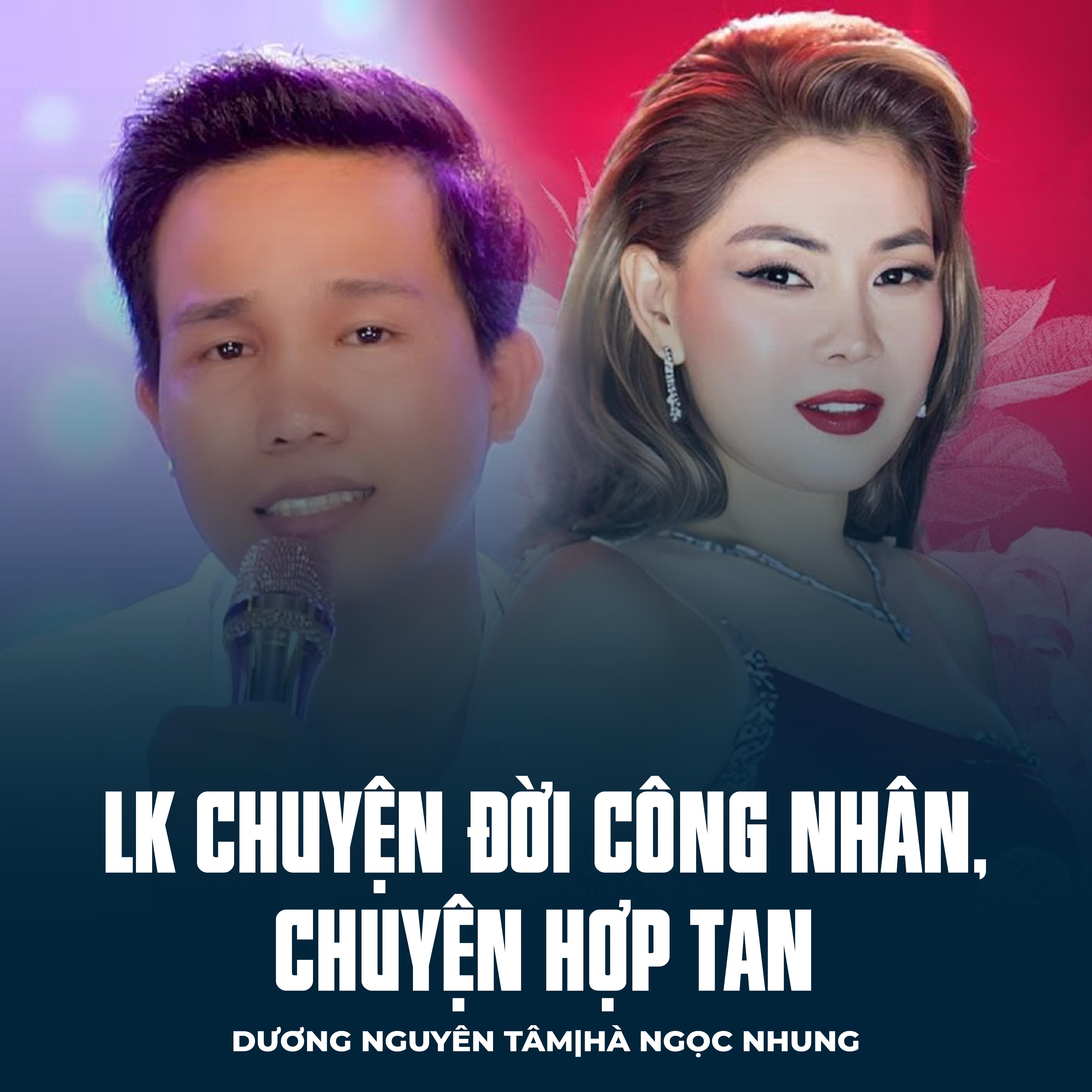 Cá cược đua chó Vũng Tàu có hợp pháp không