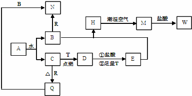 N? H? Tr?c Tuy?n Vi?t Nam: H??ng D?n Toàn Di?n Cho Ng??i M?i B?t ??u