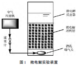 2024年12月 第11页