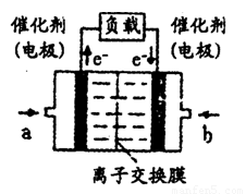 Khám Phá Qu?y H? T?t Nh?t ? Phú Qu?c ?? N?p Ti?n Hi?u Qu?