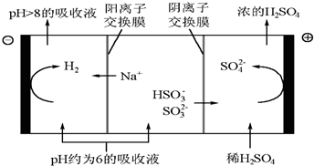 Khám Phá Qu?y H? T?t Nh?t Qu?ng Ninh - Tr?i Nghi?m Kh?ng Th? B? L?